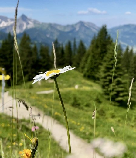 Wellness im 📍 Hotel Rehbach✨ Deinem nächsten Wellnessdomizil im Tannheimer Tal 💝 #nofilterneeded #hotelrehbach #naturresort #ruhehotel #lovetirol #wellnesshotel #tannheimertal #allgäu #urlaubindenbergen #wanderurlaub #sehnsuchtsort #hideaway #wellnesstok #tiktoktravel #wellnessjourney