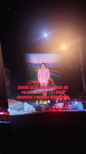 Jehovah is My Shepherd: A Christian Praise Reflection