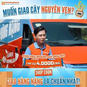 🌼Giao cây vận chuyển đường xa 🫣 💪 Không sợ cành gãy, hoa tàn vì đã có xe tải của Giao Hàng Nặng 😍Shop yên tâm lên đơn hàng nặng 👉Giá siêu nhẹ ví - giá chỉ từ 4.000Đ/kg 🙆🏻Chốt đơn chẳng lo hoàn hàng vì Chiến Binh luôn sẵn lòng cận kề bên Shop iu mỗi ngày 🚚 -------------------------- Giao Hàng Nhanh - Giao Siêu Nhanh, Giá Siêu Tốt ☎️ Hotline Chăm Sóc Khách Hàng: 1900 63 66 77 #giaohangnhanh #giaosieunhanh #giasieutot #GHN | Giao Hàng Nhanh - GHN