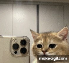 The evolution of pfps from 2021 on Make a GIF