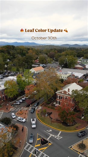 49K views · 624 reactions | Fall Foliage Update: Fall leaf color has arrived downtown! The square is starting to glow with golds, oranges, and reds as the mountains surrounding us burst into full fall beauty. We’re nearing peak color soon, so grab your boots, cameras, and cozy vibes and come experience the magic of Autumn in the heart of the Georgia mountains.  | Discover Dahlonega, Georgia | Facebook