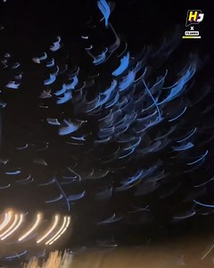 Bioluminescent Plankton! | Hollywood Journal