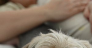 Відео автора Sarah  Chai розміщено на Pexels