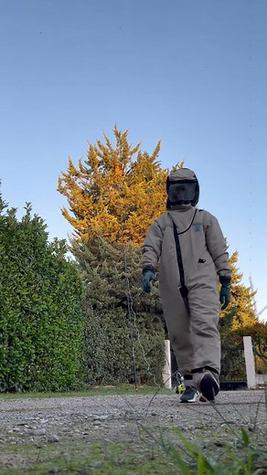 82 reactions · 36 shares |  UN NID DE FRELONS DANS UN ARBRE, COMME...