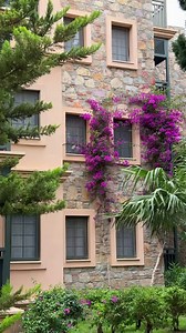 🇹🇷 TURECKO ☀️ BODRUM 🩷 Kairaba Bodrum Imperial ***** UAI 👉 Konečná cena 915€/os. (29. 8. 2024 - 5. 9. 2024 z Bratislavy) 🩷 Viac info TU: https://p.kartago.sk/s-ye5kcsp1 Príjemný hotel Kairaba Bodrum Imperial s dostatkom zelene as plážou ocenenou Modrou vlajkou čistoty, je súčasťou jedného z popredných reťazcov Labranda Hotels & Resorts. Areál hotela sa rozprestiera na ploche 46 000 m2, celkom 375 izieb je rozmiestnených do niekoľkých trojpodlažných budov. Na svoje si tu prídu nielen milovní