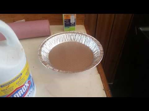 Best bed bug killer!!!