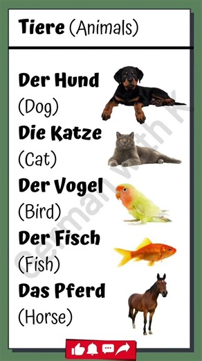 Learn Animals name in German 📚🇩🇪 | A1 Level #deutsch #deutschkurs #deutschlernen #language #shorts