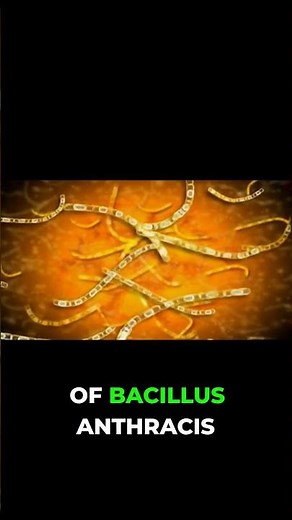 Deadly Anthrax Lab Leak: Russia's Secret Outbreak