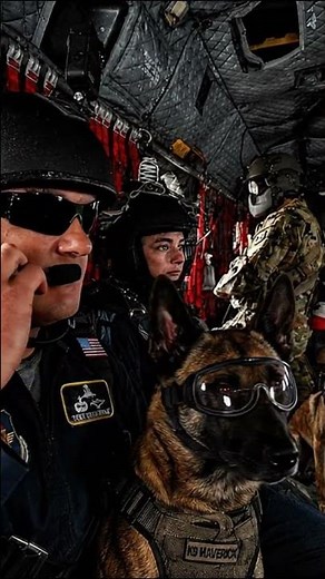 Military K9 Sends It Off a Chinook Ramp 🇺🇸🦅 No Fear All Trust