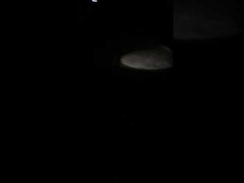 Hammer-headed Bat Lek in Sierra Leone. What a racket!