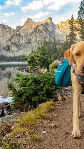 5 Epic Dog Hikes in the US You Can't Miss!