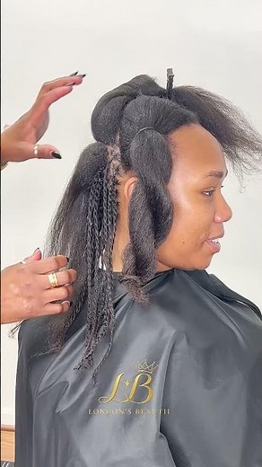 Defining the Perfect Two Strand Twists | Protective Style in Progress #braids #twostrandtwist