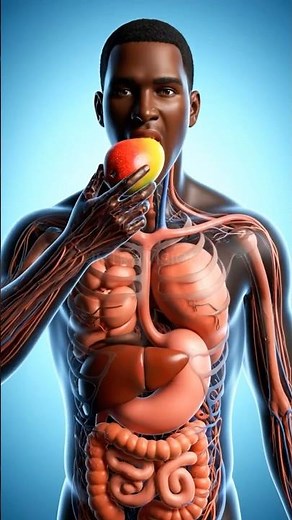 What Happens When You Eat a Mango —Your Body’s Sweet Reaction! #nutrition #shorts