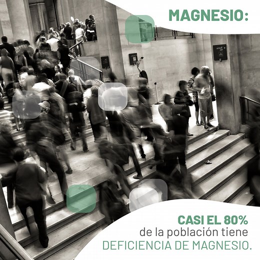 MagiMag (250g de Citrato de Magnesio en polvo para tomar con agua) fresa-limón