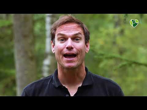 Camp Adventure Sports & Language Camp Regen Bavaria