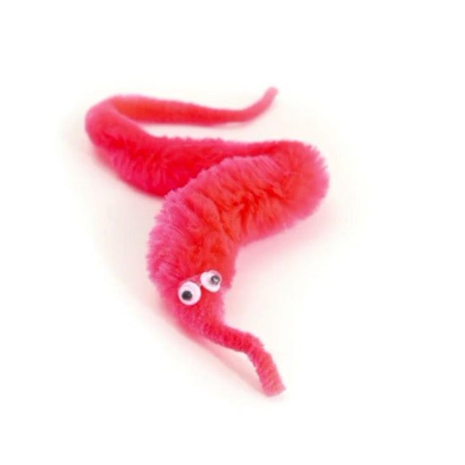 Red Worm On A String Diet And Personality