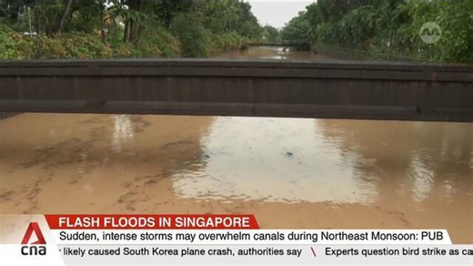 Heavy downpour triggers flash floods in Singapore