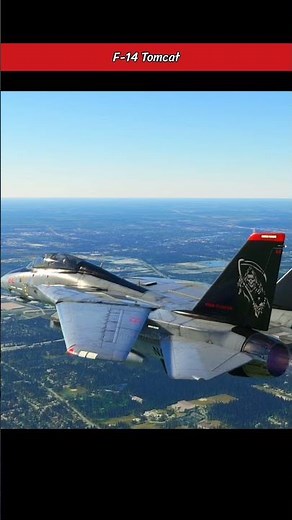 F-14 Tomcat Sweep Wings #military #aviation #shorts
