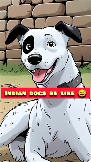 Indian dogs be like 😂🐕 | Dog Shorts