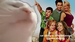 Lustra - Scotty Doesn't Know credit: @micklagi on tiktok | Vibe Cat