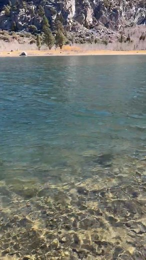 Gilbert Esquivel on Reels