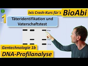 Gentechnik 2 DNA-Profilanalyse - Täteridentifikation - Vaterschaftstest (Gelelektrophorese)