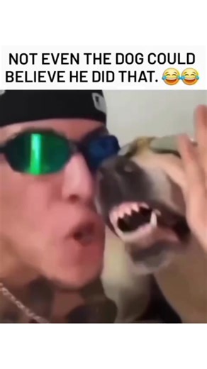 Reels fountain on Instagram: "This reel is 33 seconds long and shows an intense and hilarious beatboxing session that has the internet buzzing! From start to finish, the energy is unmatched as this creator delivers some serious beats while his four-legged friend joins in for the ultimate remix. Why this is a must-watch: The Skills: The beatboxing is next-level—pure talent, speed, and timing. The Hype Dog: Sporting his own pair of sunglasses, the dog isn’t just watching; he’s part of the track, b