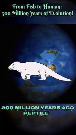 From Fish to Human: 500 Million Years of Evolution! #shorts