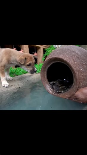 Exciting Mini Construction Science Project