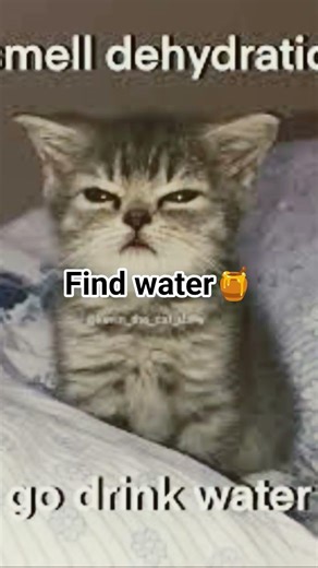 drinking water tutorial🔥 #funny #theothersideofmakebelieve #music