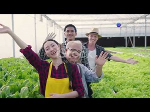 Hydroponic Nutrients 101 - Master Your Mix