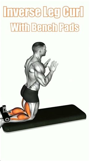 Inverse Leg Curl 💥 Explosive Hamstring Strength | No Machine Home Workout #shorts #viral