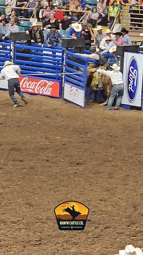 🚨 New Deal Alert! Buy a RAWW Shirt, and snag a RAWW Hat for 50% OFF! Offer valid from November 10 to November 27. Limited time offer! Link in Bio #RAWWCattleCo #FashionDeal #Discount | Raww Cattle Co.