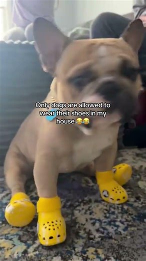 My Nephew Leroy modeling his crocs