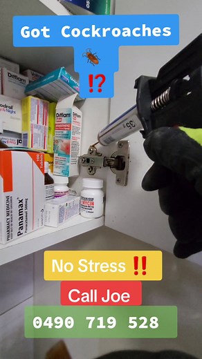 🕷 Joe's Pest&Termite Solutions OFFERS ‼️20% OFF‼️ For All Sydney Suburbs including All Types Of Treatments ‼️ ⛔️OFFERS TILL END OF JULY ⚠️ 🟩OUR GENERAL PEST CONTROL SERVICES COMES WITH ‼️6️⃣ MONTHS WARRANTY ‼️ 🟣PRICES START FROM $99🟣 ✅️STUDIOS: $99 ✅️UNITS : $120 ✅️SINGLE STOREY HOUSE: $160 ✅️DOUBLE STOREY HOUSE: $180 ✅️COMMERCIAL SHOPS: Fr $150 ☣️Treatment Including ( Full Spray Outdoor & Indoor Backyard Spray Fence Spray Roof, Sub floor Dusting ) Cockroaches Package 🪳 if required ‼️ Pleas