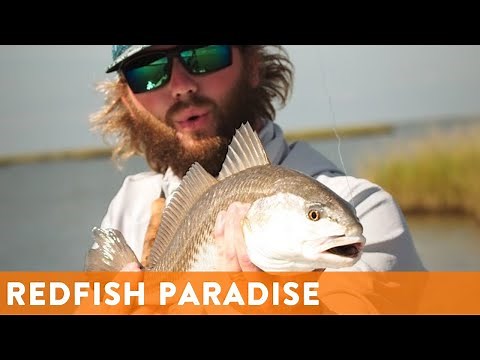 Fly Fishing for Redfish! DIY Saltwater Fly Fishing In The Marsh w/ ‪@dorsaloutdoors‬