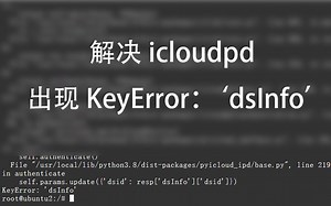 修复icloudpd出现KeyError：‘dsInfo’