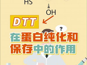 DTT在蛋白纯化和保存中的作用？