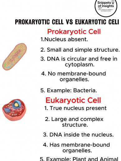 Prokaryotic vs Eukaryotic Cells: The Key Differences One has a nucleus, the other doesn’t! 🔬 Let’s break down the key differences between prokaryotic and eukaryotic cells — the building blocks of life. Bacteria or human cells — they’re worlds apart! Here’s how prokaryotic and eukaryotic cells differ in structure and function. 🌱🧬 Simple vs complex, nucleus or none — learn the easy way to tell prokaryotic and eukaryotic cells apart in seconds! ⚡ #ProkaryoticCells #EukaryoticCells #CellBiology #