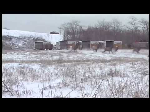 TWRA Flashback - Elk Return to TN