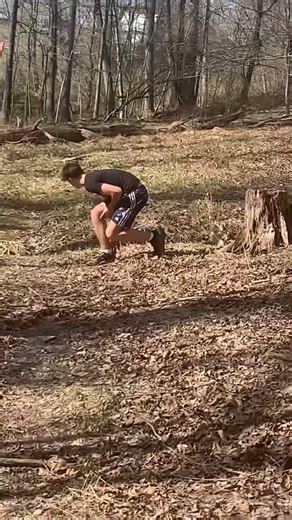 Kicking a dead tree that was secretly alive