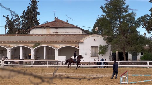 #clubalassil #equitation #cheval