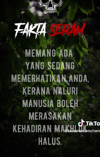 Fakta Seram 50 #jin #penunggu