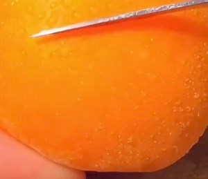 Aquí tienes algunos trucos de cocina que quizás ni tu madre conozca ⚠️💯💥 #SabiasQue #Incredible #datos #foryou #aprender #Interesting #reels #fyp #CuriosidadesDelMundo #chagenge #virals #fypシ゚ #EsperoLesGuste #seguidores #science | Jose Pinar