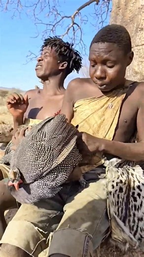 Why Do Indigenous Hunters Carry This Bird? #shortvideo