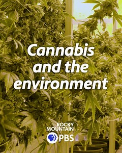 12K views · 19 reactions | Did you know that in Colorado, indoor...