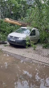 402K views · 1.3K reactions | Consecințele furtunii de ieri, în capitală Video: tik tok | TV NORD | Facebook