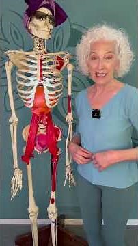 Psoas & Resilience