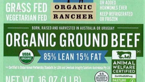 Ground beef sold nationwide possibly contaminated with E. coli, public health alert says