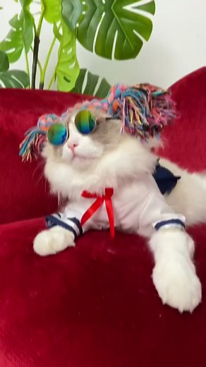 Download FilmoraGo and participate in FilmoraGo event to win Apple Watch 3! Details in Bio and Comment #FilmoraGoPet #petmission #woahchallenge